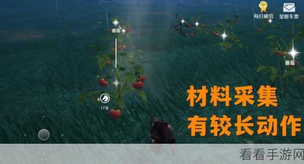 诺亚之心神秘鸟窝全图大揭秘