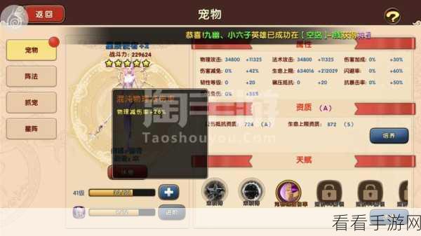 太极熊猫2，藏宝副本深度攻略，揭秘收益最大化秘籍