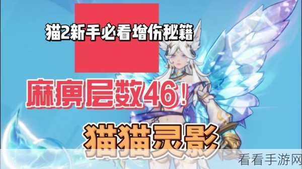 S14 赛季冰女致胜秘籍，实战技巧大揭秘