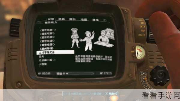 辐射4全伙伴攻略，解锁好感度秘籍，打造最强小队！