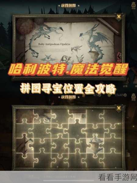 哈利波特手游深度攻略，拼图寻宝全位置揭秘与技巧分享
