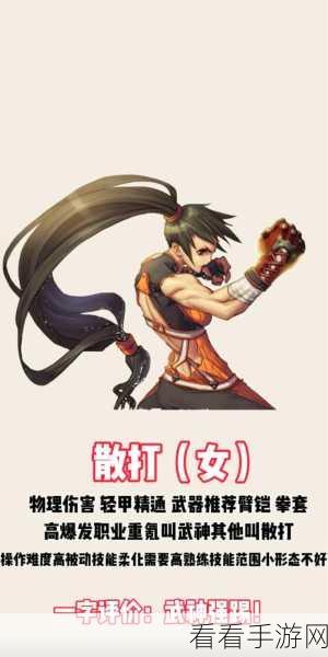 DNF手游深度解析，PK场与刷图王者，哪个职业更胜一筹？