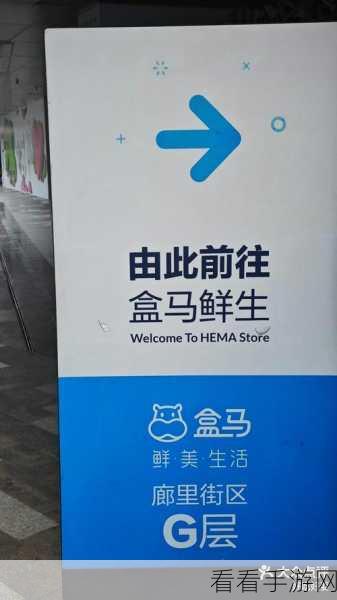 盒马鲜生能否从支付宝搬家？详细解析与操作指南