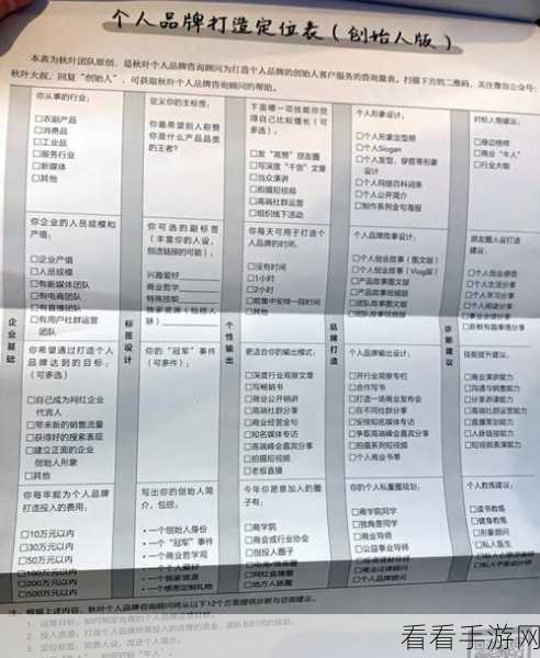 太阁立志传5DX深度解析，商人功勋之路与致富秘籍