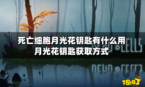 探秘重生细胞，月光花钥匙的隐秘踪迹与获取攻略