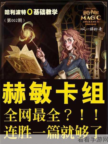 哈利波特魔法觉醒，破盾流赫敏勇夺高分秘籍大揭秘