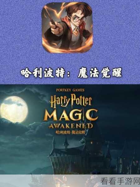 哈利波特魔法觉醒，破盾流赫敏勇夺高分秘籍大揭秘