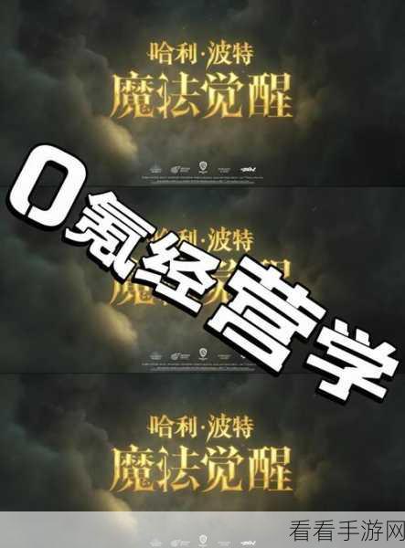 哈利波特魔法觉醒舞会全攻略，解锁舞会玩法，闪耀魔法舞台