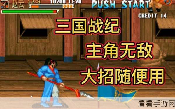 三国战纪 2 中无双赵云的深度剖析与实战秘籍