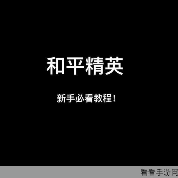 掌握 Magisk 玩转和平精英，实战秘籍大揭秘
