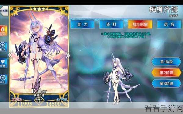 FGO新宿特异点，全新英灵满破立绘震撼揭秘，战力飙升！