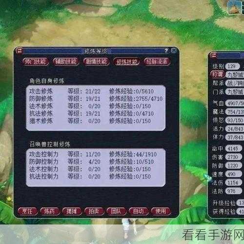 梦幻西游深度攻略，解锁妙手仁心玩法精髓
