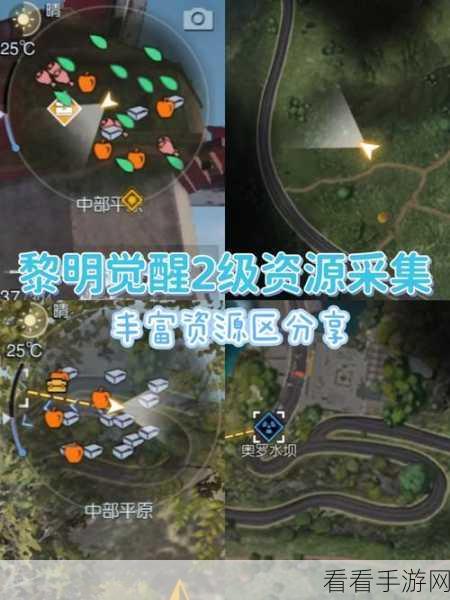 黎明重生，资源收集秘籍 宠物进化与技能解锁全攻略