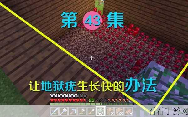 我的世界地狱疣种植秘籍与实用攻略