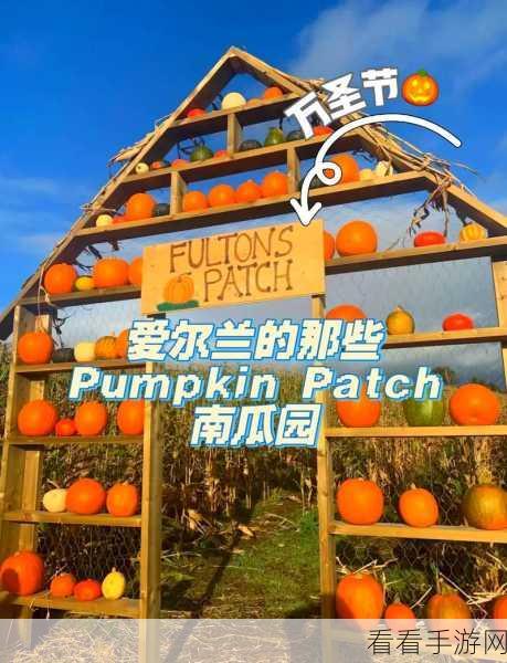 崩坏3万圣节南瓜行军，高分排名活动全攻略