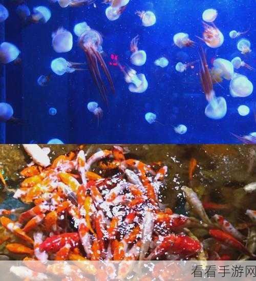探秘创造与魔法海底世界，解锁神秘入口的全面攻略