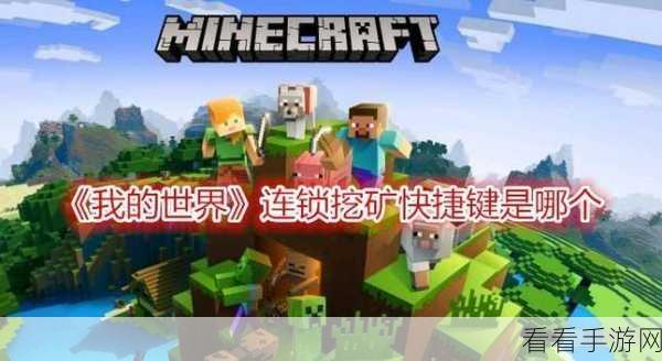 我的世界挖矿秘籍，高效挖掘技巧全攻略