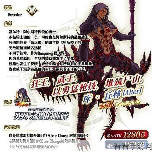 FGO迦勒底男性精选2020，礼装兑换全攻略与深度剖析