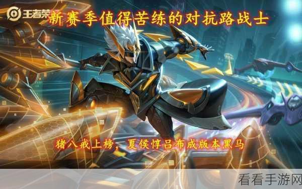 夏侯惇上分秘籍，克制与反制之道，赛场黑马崛起