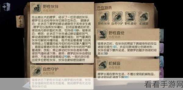 剑与远征，米莎卡技能全解及实战超强攻略