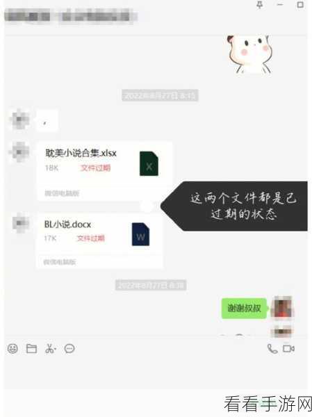 手游玩家必看，轻松学会将扫描文件分享至微信教程