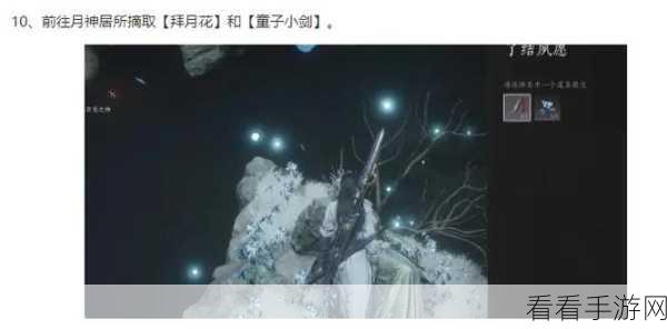 燕云十六声卷四，黎蓁蓁任务速通宝典