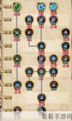 航海王燃烧意志，女帝波尔汉库珂加点攻略与实战技巧深度剖析