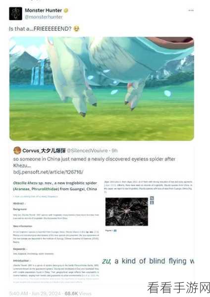 怪物猎人，揭秘世界之巅，终极BOSS挑战全攻略