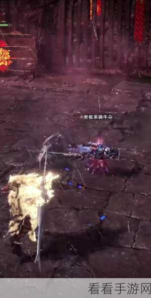 怪物猎人崛起攻略，揭秘优质龙蛋的高效获取途径