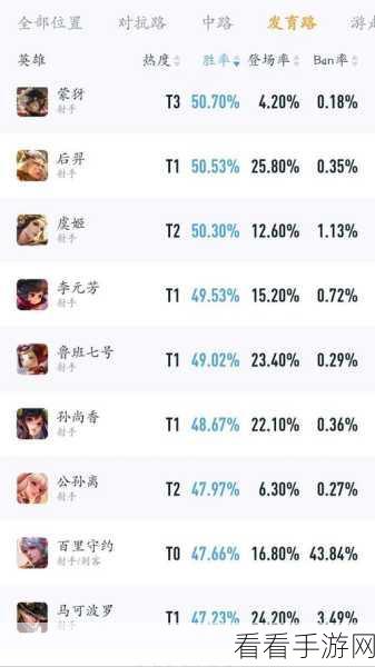 公孙离荣耀指南,深度解析属性、技能与铭文搭配策略