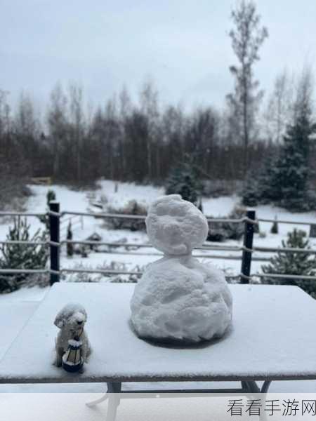 雪熊大养成计划,揭秘创造与魔法中雪熊大饲料的独家配方