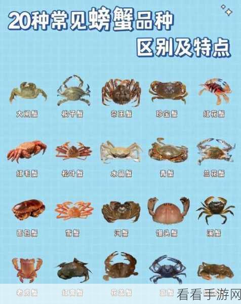新赛季螃蟹胜率大揭秘，震撼细节全曝光