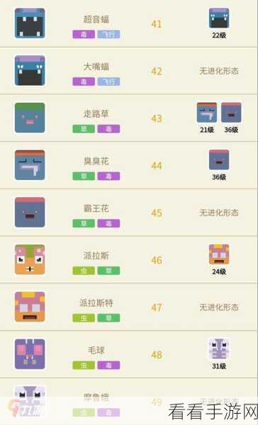 宝可梦大探险，深度解析宾果激活策略，助你探险之旅更顺畅！