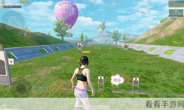 和平精英掉帧识敌技巧揭秘，掌握游戏内隐藏雷达