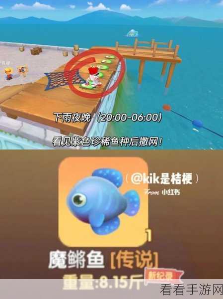 摩尔庄园手游，揭秘太空黑晶番茄高效获取秘籍