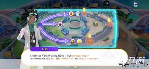 宝可梦大集结，深度解析！如何精准区分特攻与物攻，提升战斗策略