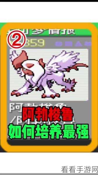 宝可梦大集结，阿勃梭鲁竞技攻略，技能搭配与装备选择揭秘