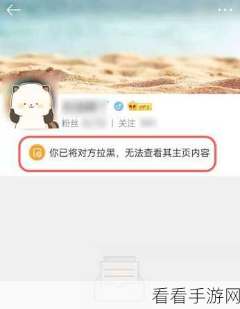 手游圈小技巧，微博拉黑攻略与影响解析