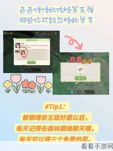 小森生活金币速赚秘籍，全面掌握高效盈利技巧