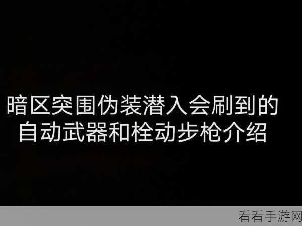 暗区突围，伪装潜入玩法的无敌秘籍与实战技巧