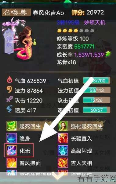 大话西游手游，揭秘召唤兽转生全攻略，打造顶级战斗伙伴！