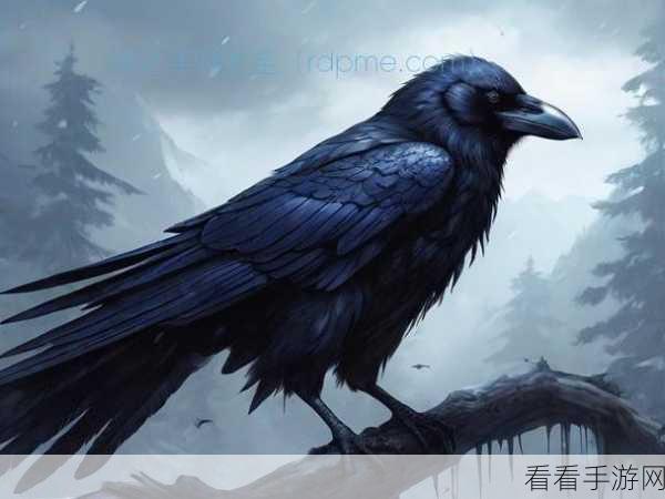手游探秘，乌鸦核心装的绝佳选择指南