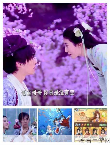 仙剑奇侠传网游全解析，经典仙侠世界的网络延续