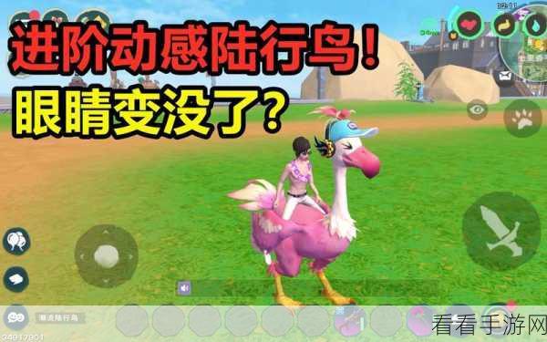 手游热门攻略，揭秘创造与魔法潮流陆行鸟高效捕捉全攻略