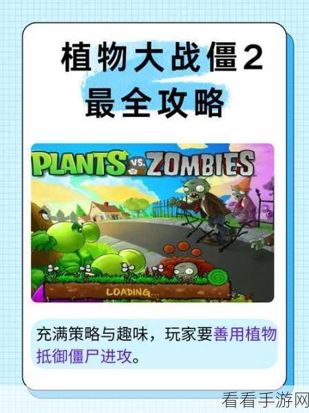 解锁秘籍！植物大战僵尸小游戏全攻略大放送
