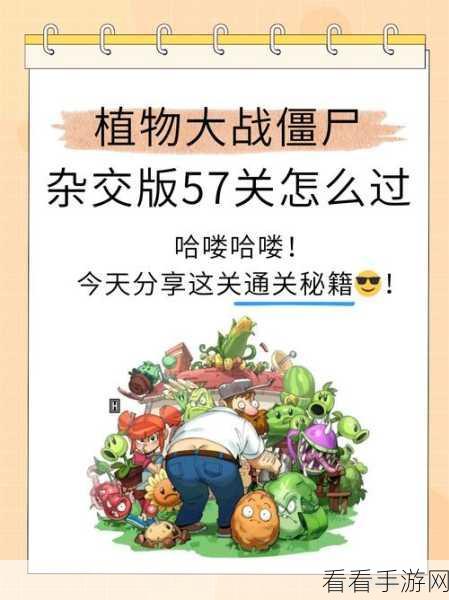 解锁秘籍！植物大战僵尸小游戏全攻略大放送