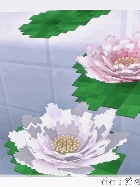 手游我的世界睡莲种植攻略，解锁睡莲的奇妙用途