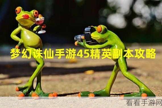 梦幻诛仙手游，揭秘50大隐藏任务全攻略，探险家的终极挑战！