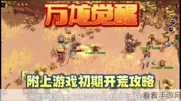 万龙觉醒新手开荒全攻略，解锁快速上手与高效进阶秘籍