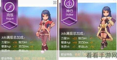 仙境传说RO手游深度攻略，揭秘恋之双子星隐藏坐标与高效寻找法